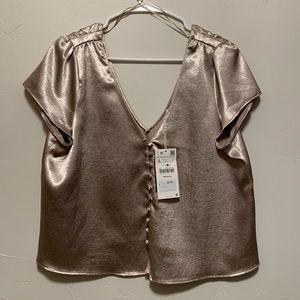 Zara Champagne Satin Top